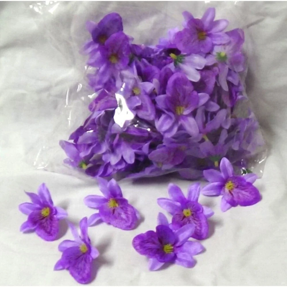 Orchid Flowers Heads 2.5